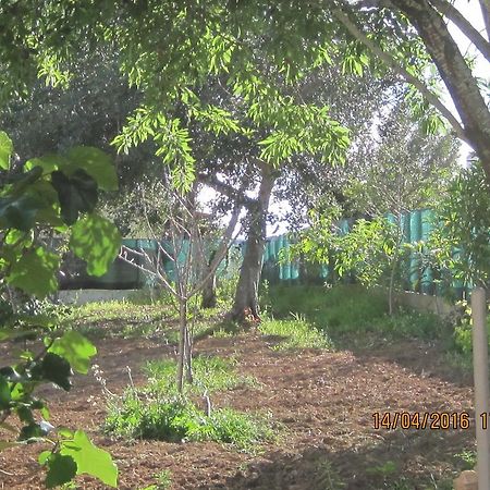 Hotel Quinta Da Fonte Em Moncarapacho Zewnętrze zdjęcie